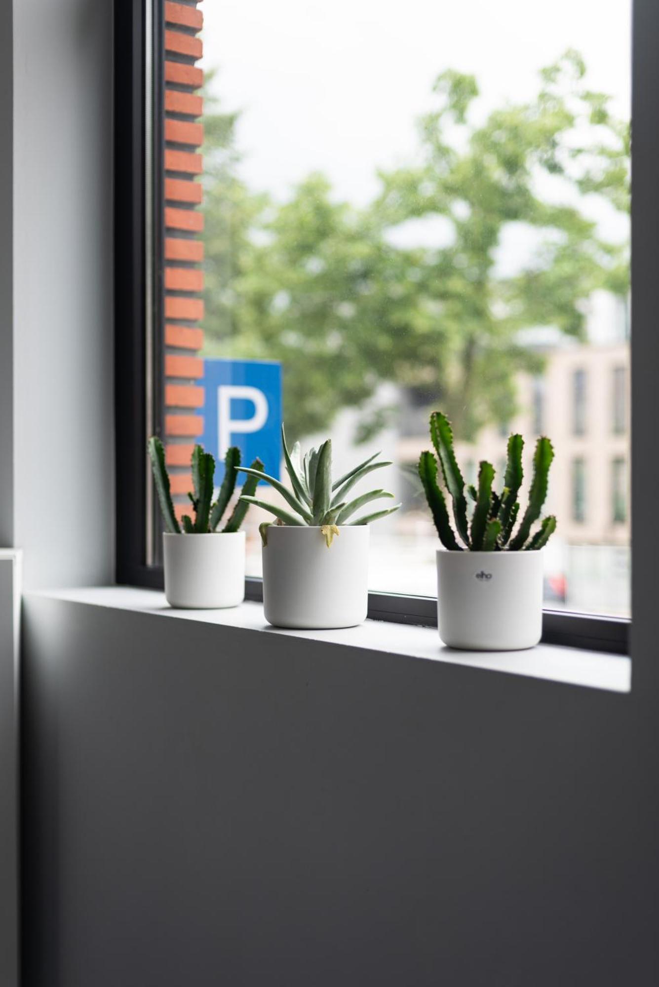 New! Design Herenhuis In Het Centrum Van Tongeren Exterior foto